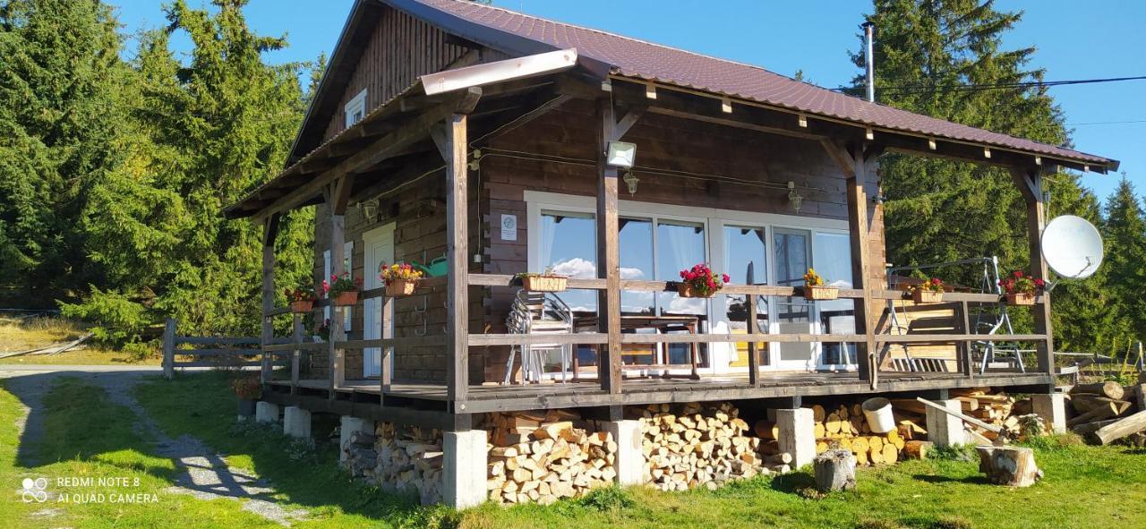Casuta Schiorului Villa Mărişel Exterior foto